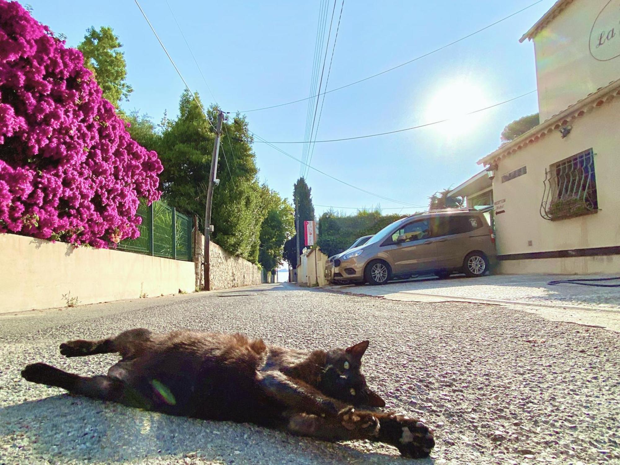 La Jabotte Antibes